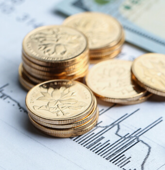 Fixed Income Securities